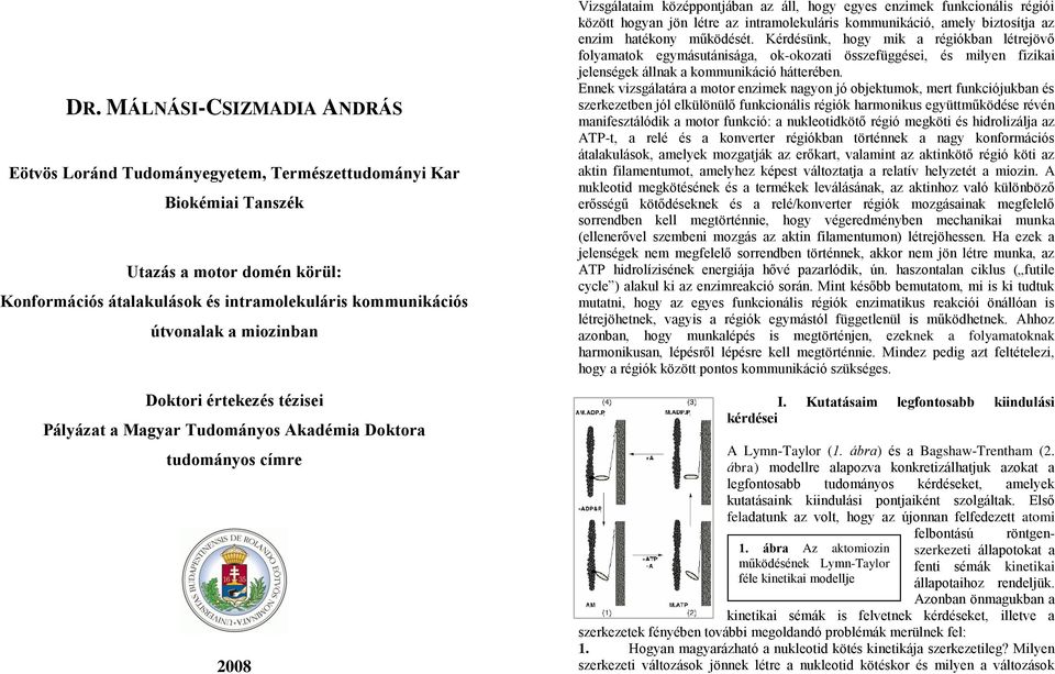létre az intramolekuláris kommunikáció, amely biztosítja az enzim hatékony működését.