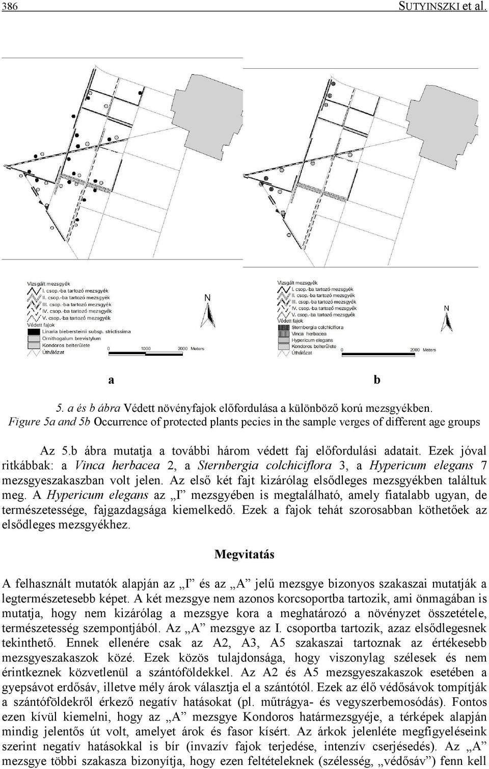 Ezek jóval ritkábbak: a Vinca herbacea 2, a Sternbergia colchiciflora 3, a Hypericum elegans 7 mezsgyeszakaszban volt jelen. Az első két fajt kizárólag elsődleges mezsgyékben találtuk meg.