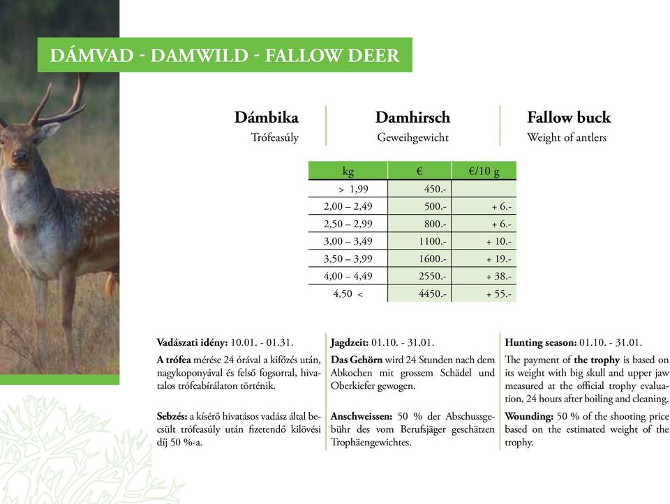 - 01.31. Jagdzeit: 01.10. - 31.01. Hunting season: 01.10. - 31.01. A trófea mérése 24 órával a kifőzés után, nagykoponyával és felső fogsorral, hivatalos trófeabírálaton történik.