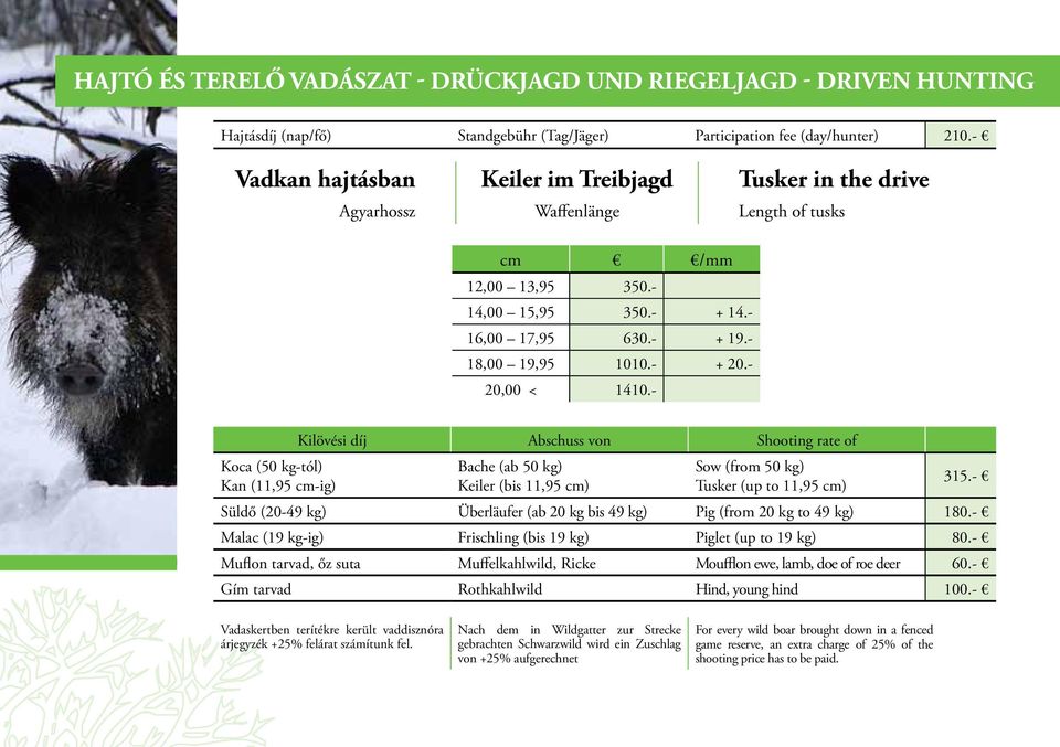 - 20,00 < 1410.- Koca (50 kg-tól) Kan (11,95 cm-ig) Kilövési díj Abschuss von Shooting rate of Bache (ab 50 kg) Keiler (bis 11,95 cm) Sow (from 50 kg) Tusker (up to 11,95 cm) 315.