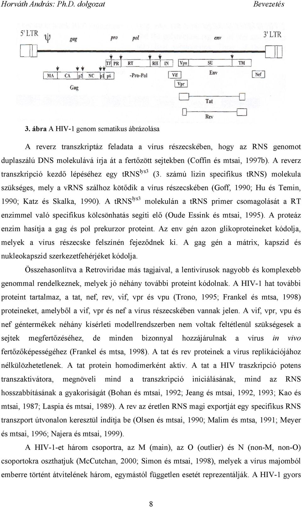 A reverz transzkripció kezd lépéséhez egy trns lys3 (3.