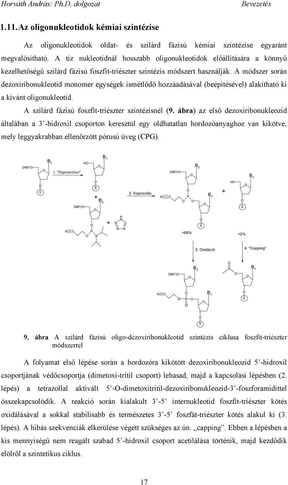 A módszer során dezoxiribonukleotid monomer egységek ismétl d hozzáadásával (beépítésével) alakítható ki a kívánt oligonukleotid. A szilárd fázisú foszfit-triészter szintézisnél (9.