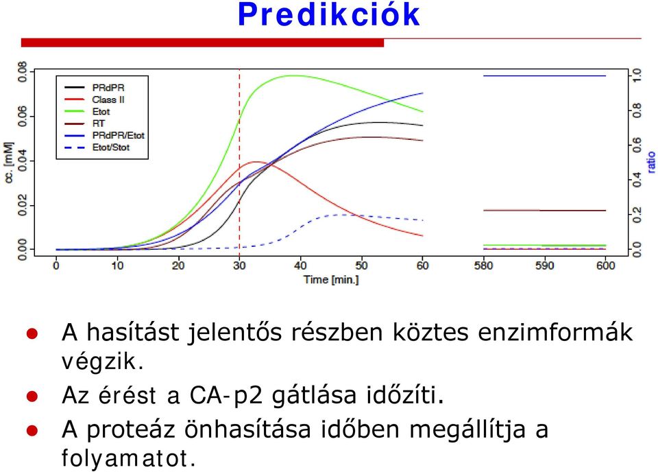 Az érést a CA-p2 gátlása időzíti.