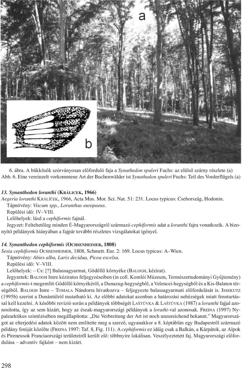 Nat. 51: 231. Locus typicus: Csehország, Hodonin. Tápnövény: Viscum spp., Loranthus europaeus. Repülési idő: IV VIII. Lelőhelyek: lásd a cephiformis fajnál.