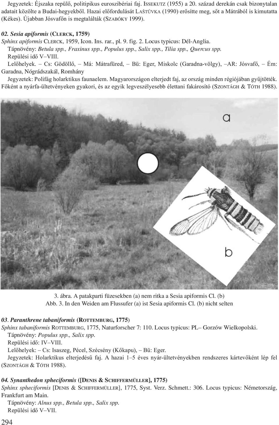 Sesia apiformis (CLERCK, 1759) Sphinx apiformis CLERCK, 1959, Icon. Ins. rar., pl. 9. fig. 2. Locus typicus: Dél-Anglia. Tápnövény: Betula spp., Fraxinus spp., Populus spp., Salix spp., Tilia spp.