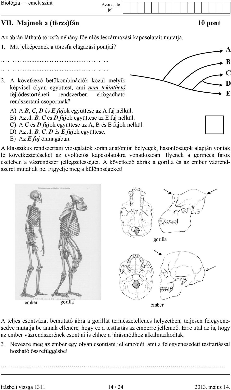 A) A B, C, D és E fajok együttese az A faj nélkül. B) Az A, B, C és D fajok együttese az E faj nélkül. C) A C és D fajok együttese az A, B és E fajok nélkül. D) Az A, B, C, D és E fajok együttese.