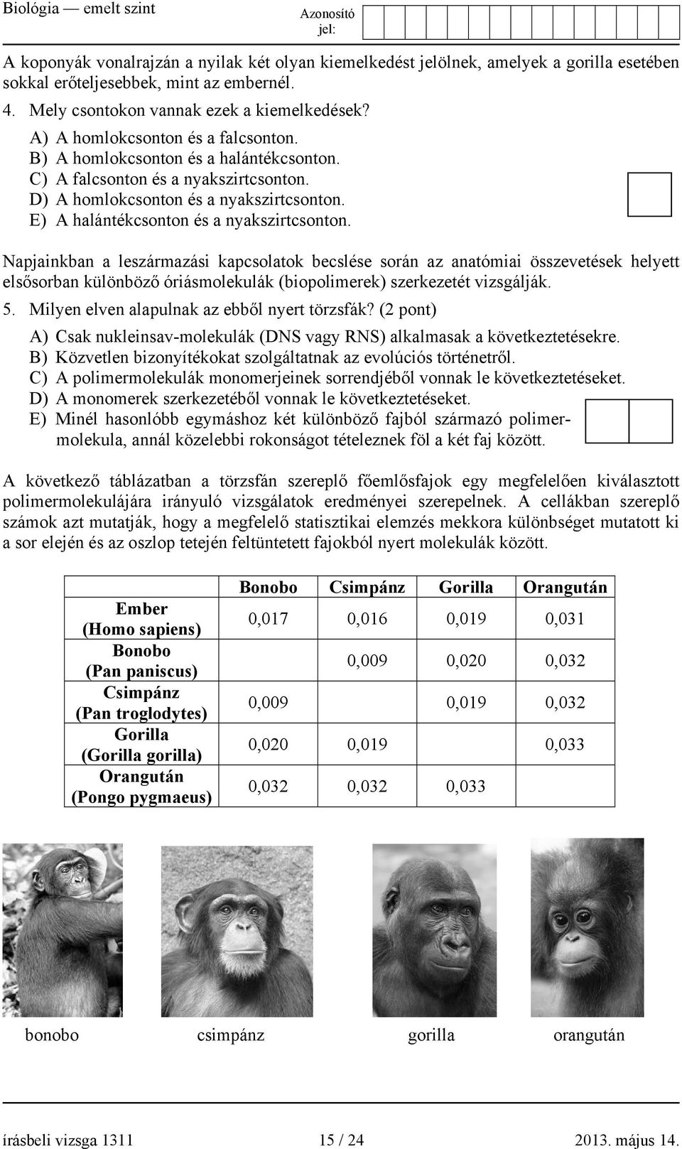 E) A halántékcsonton és a nyakszirtcsonton.