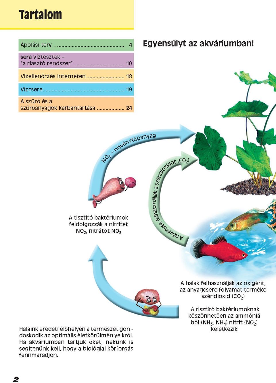 feldolgozzák a nitritet NO 2, nitrátot NO 3 A halak felhasználják az oxigént, az anyagcsere folyamat terméke széndioxid (CO 2 ) Halaink eredeti