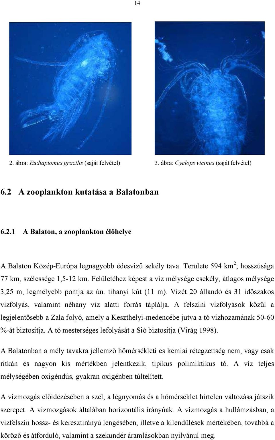 Vizét 20 állandó és 31 időszakos vízfolyás, valamint néhány víz alatti forrás táplálja.