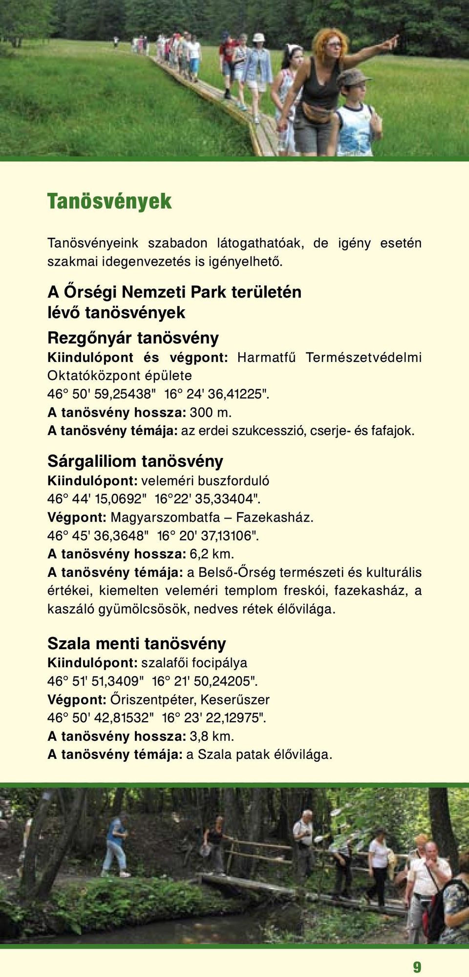 A tanösvény hossza: 300 m. A tanösvény témája: az erdei szukcesszió, cserje- és fafajok. Sárgaliliom tanösvény Kiindulópont: veleméri buszforduló 46 44' 15,0692" 16 22' 35,33404".