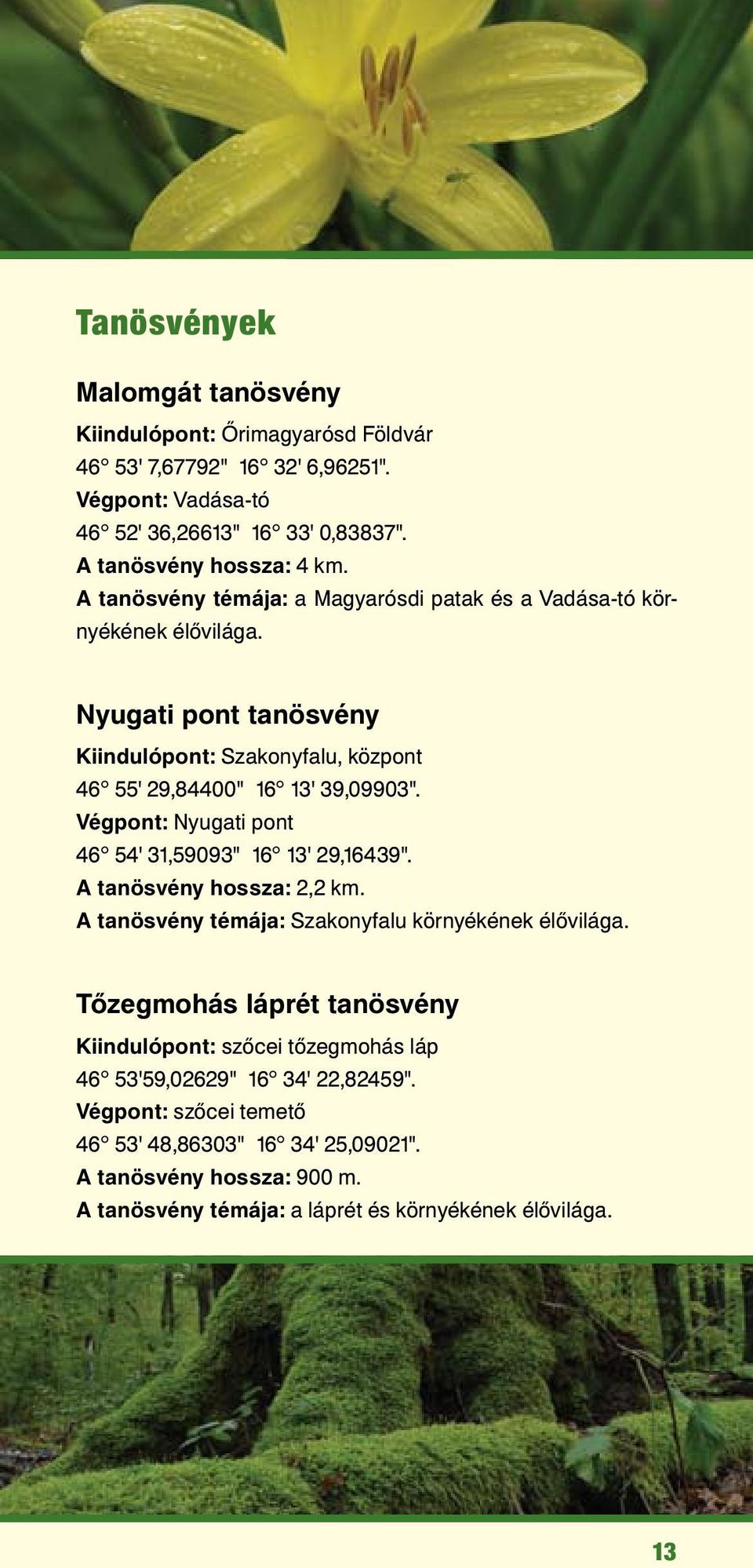 Végpont: Nyugati pont 46 54' 31,59093" 16 13' 29,16439". A tanösvény hossza: 2,2 km. A tanösvény témája: Szakonyfalu környékének élővilága.