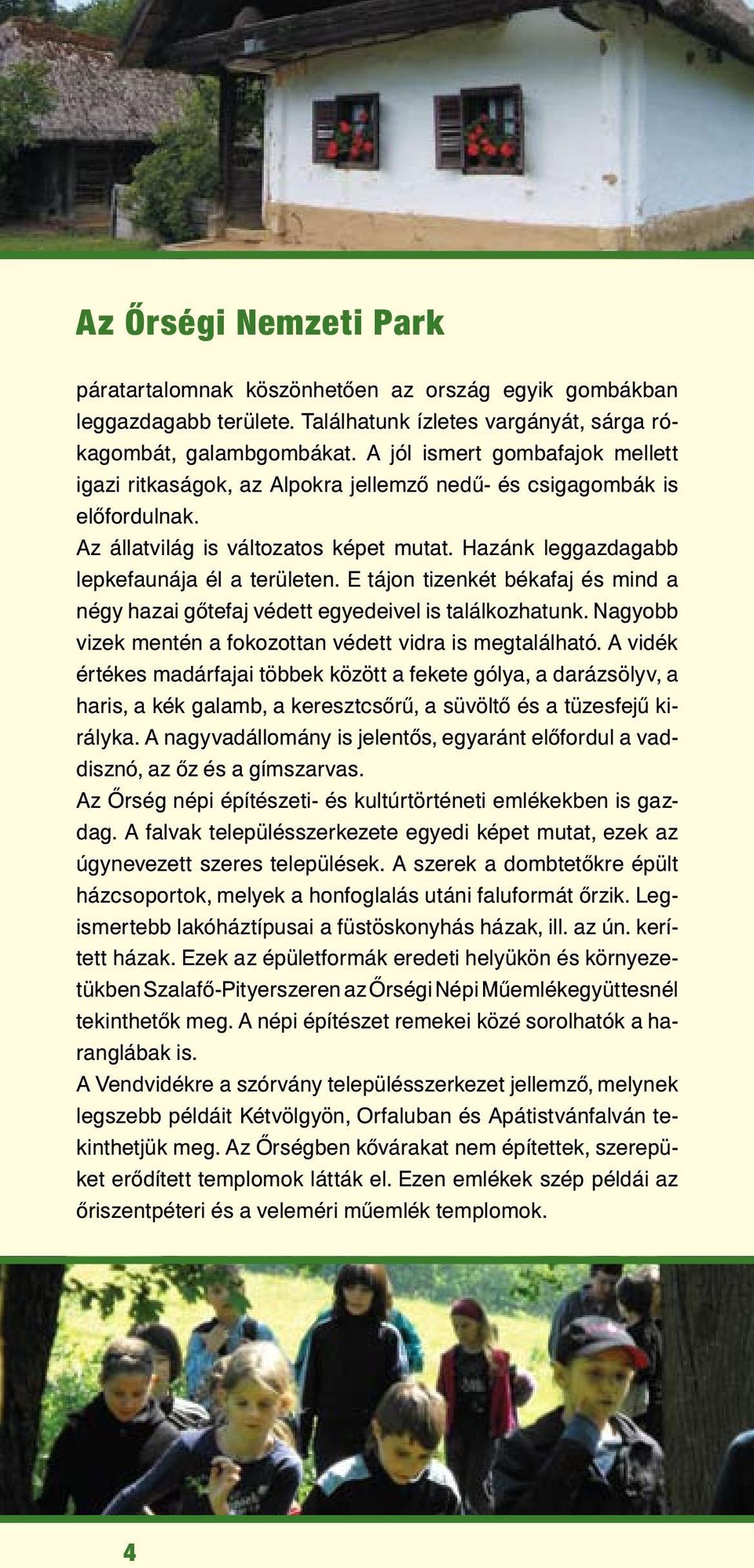 E tájon tizenkét békafaj és mind a négy hazai gőtefaj védett egyedeivel is találkozhatunk. Nagyobb vizek mentén a fokozottan védett vidra is megtalálható.