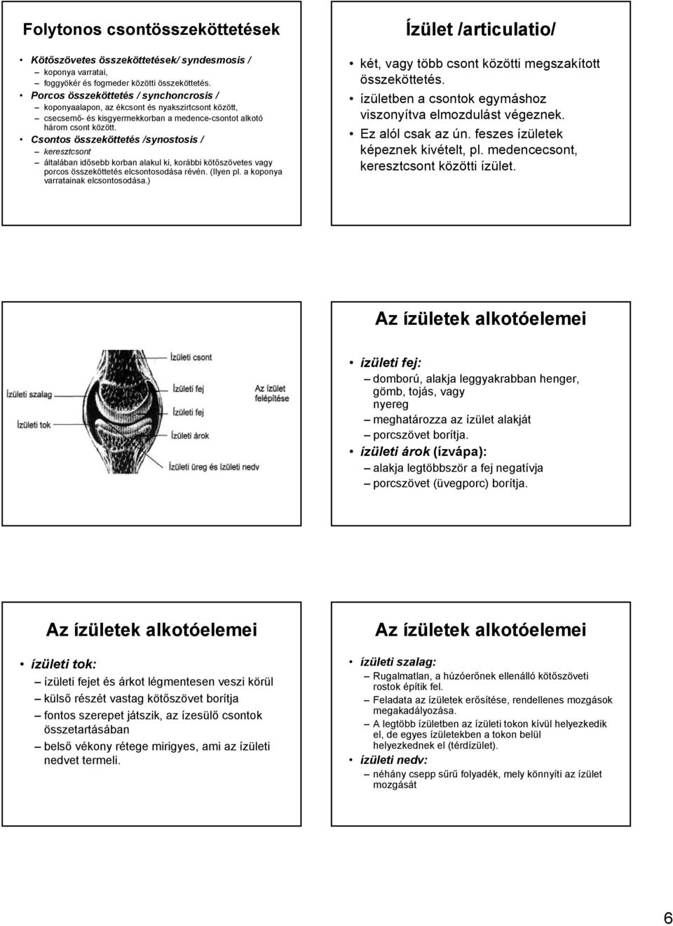 Csontos összeköttetés /synostosis / keresztcsont általában idősebb korban alakul ki, korábbi kötőszövetes vagy porcos összeköttetés elcsontosodása révén. (Ilyen pl.