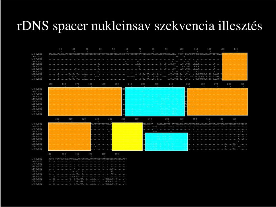 SEQ...C...G...C...AC.--...-..G...A... LIVB.SEQ...G...C...AG...C...C...G.GT--...C-.TGG...AA.A...A... LSEB.SEQ...G...G...C...C...GT--...C-.TGG...AA.A...A... LSEC.SEQ...T...G...G...C...C...GT--...C-.TGG...AA.A...A... LWEB.