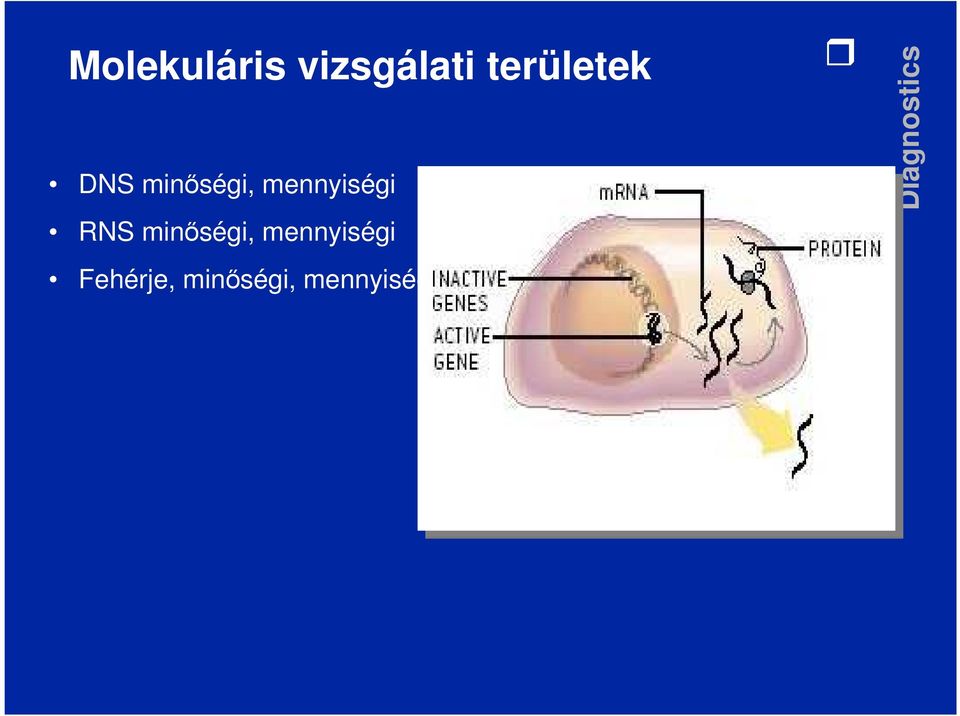 mennyiségi RNS minıségi,