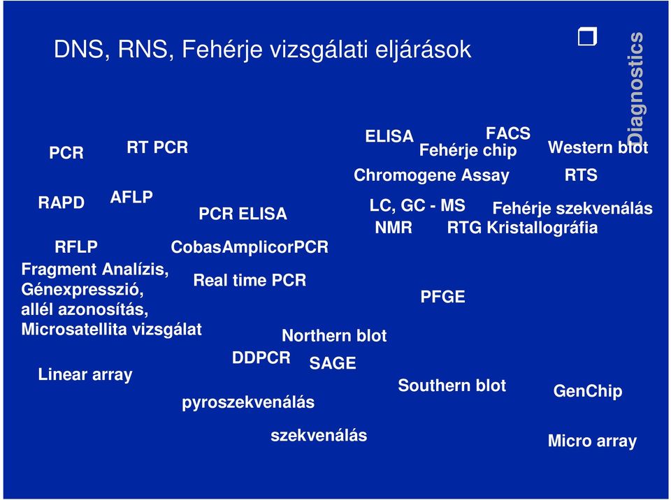 CobasAmplicorPCR Fragment Analízis, Real time PCR Génexpresszió, allél azonosítás, PFGE