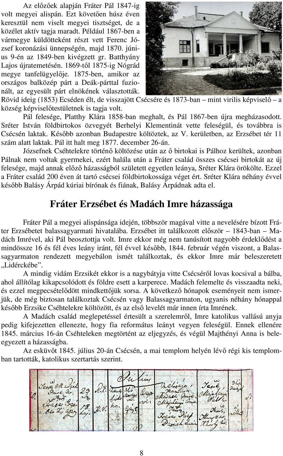 1869-től 1875-ig Nógrád megye tanfelügyelője. 1875-ben, amikor az országos balközép párt a Deák-párttal fuzionált, az egyesült párt elnökének választották.