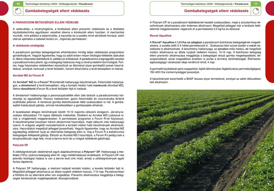 A védekezés stratégiája A paradicsom gombás betegségeinek elhárításakor mindig teljes védekezési programban gondolkodjunk.