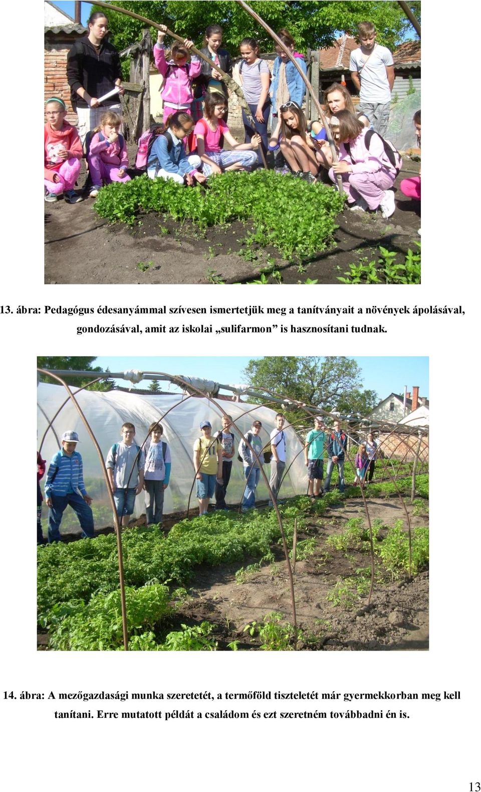 ábra: A mezőgazdasági munka szeretetét, a termőföld tiszteletét már gyermekkorban