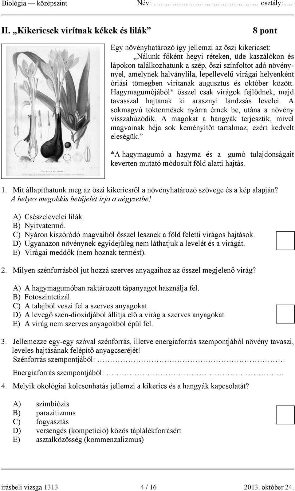 Hagymagumójából* ősszel csak virágok fejlődnek, majd tavasszal hajtanak ki arasznyi lándzsás levelei. A sokmagvú toktermések nyárra érnek be, utána a növény visszahúzódik.