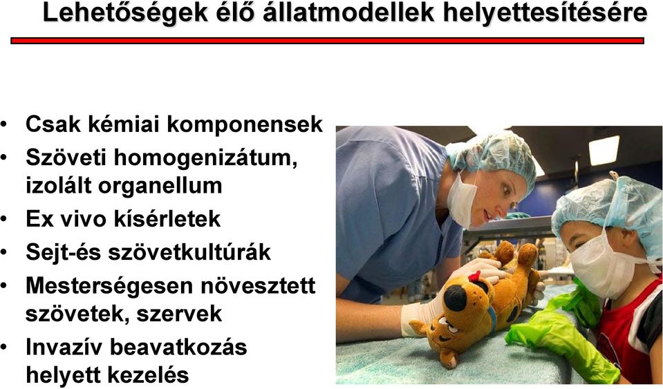 vivo kísérletek Sejt-és szövetkultúrák Mesterségesen