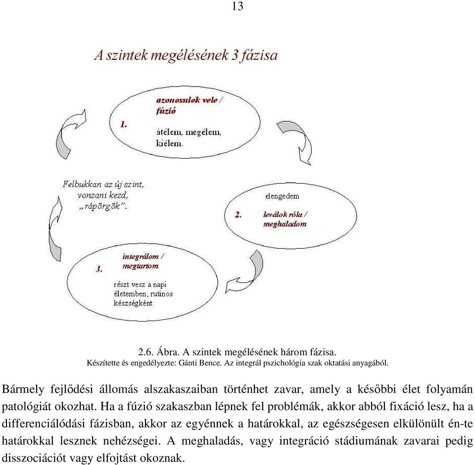 Bármely fejlıdési állomás alszakaszaiban történhet zavar, amely a késıbbi élet folyamán patológiát okozhat.