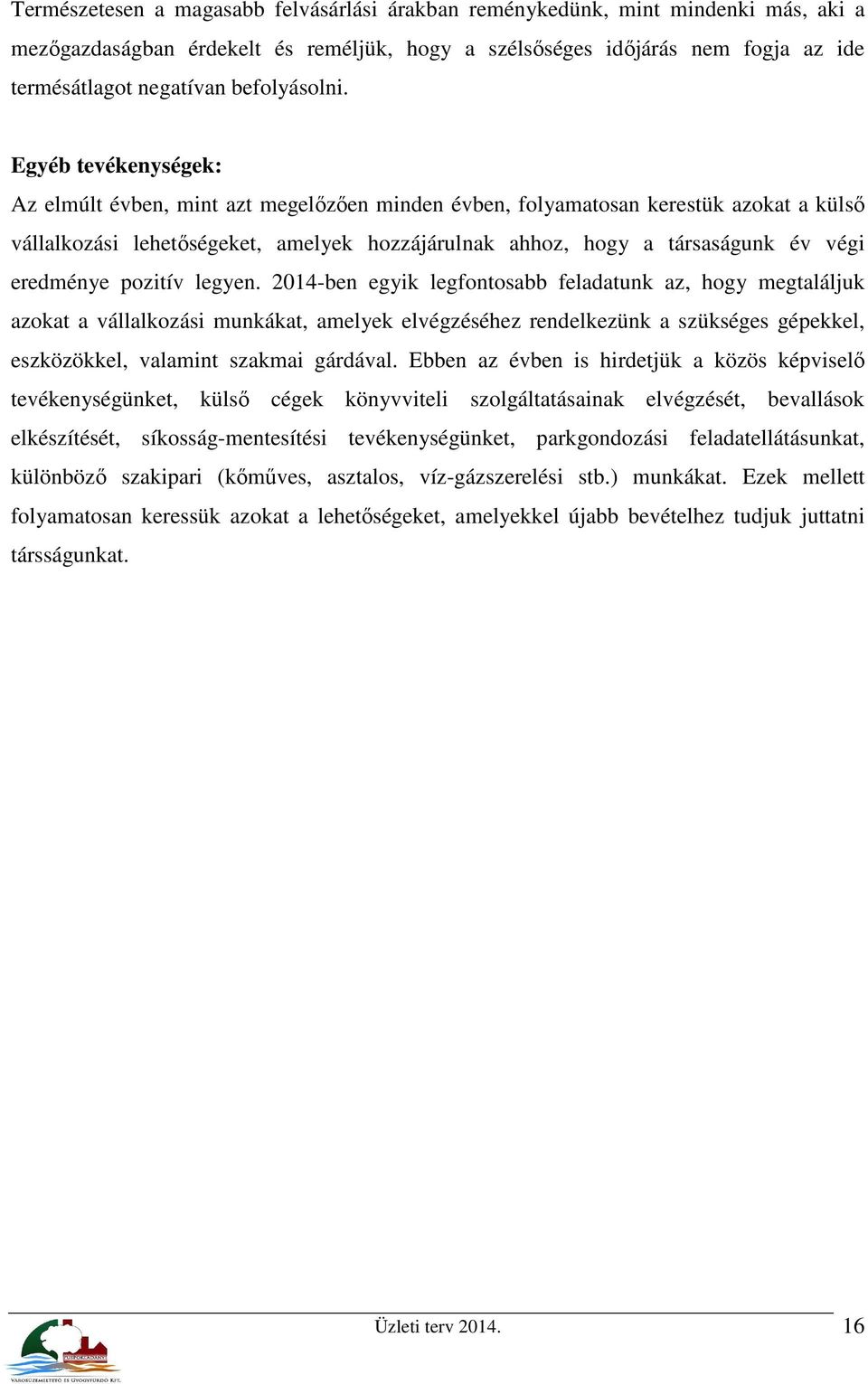 Egyéb tevékenységek: Az elmúlt évben, mint azt megelőzően minden évben, folyamatosan kerestük azokat a külső vállalkozási lehetőségeket, amelyek hozzájárulnak ahhoz, hogy a társaságunk év végi