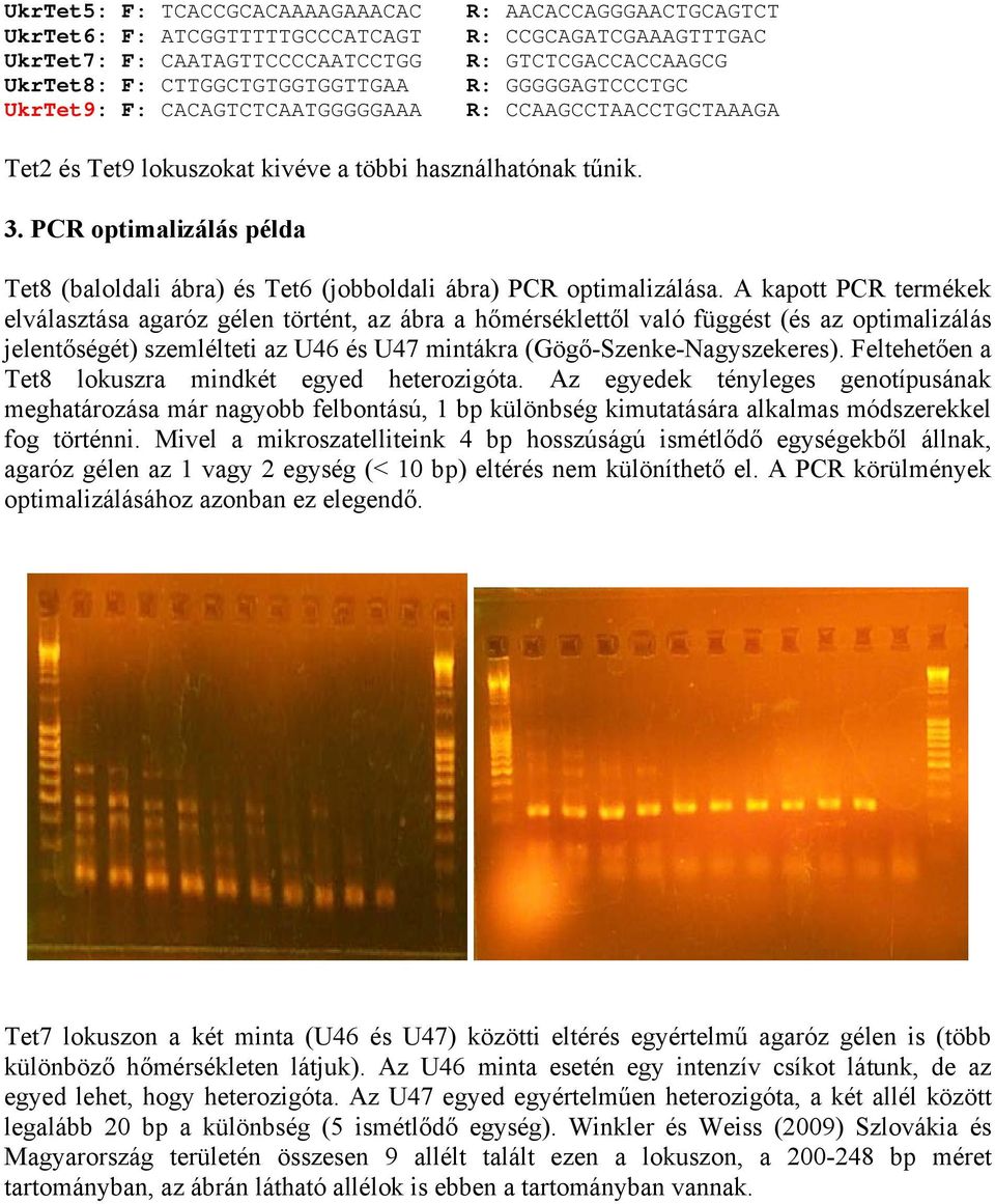 PCR optimalizálás példa Tet8 (baloldali ábra) és Tet6 (jobboldali ábra) PCR optimalizálása.