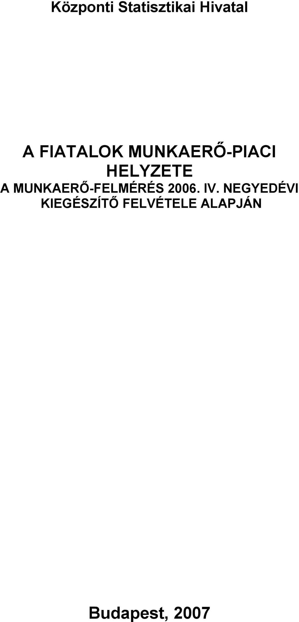 MUNKAERŐ-FELMÉRÉS 2006. IV.