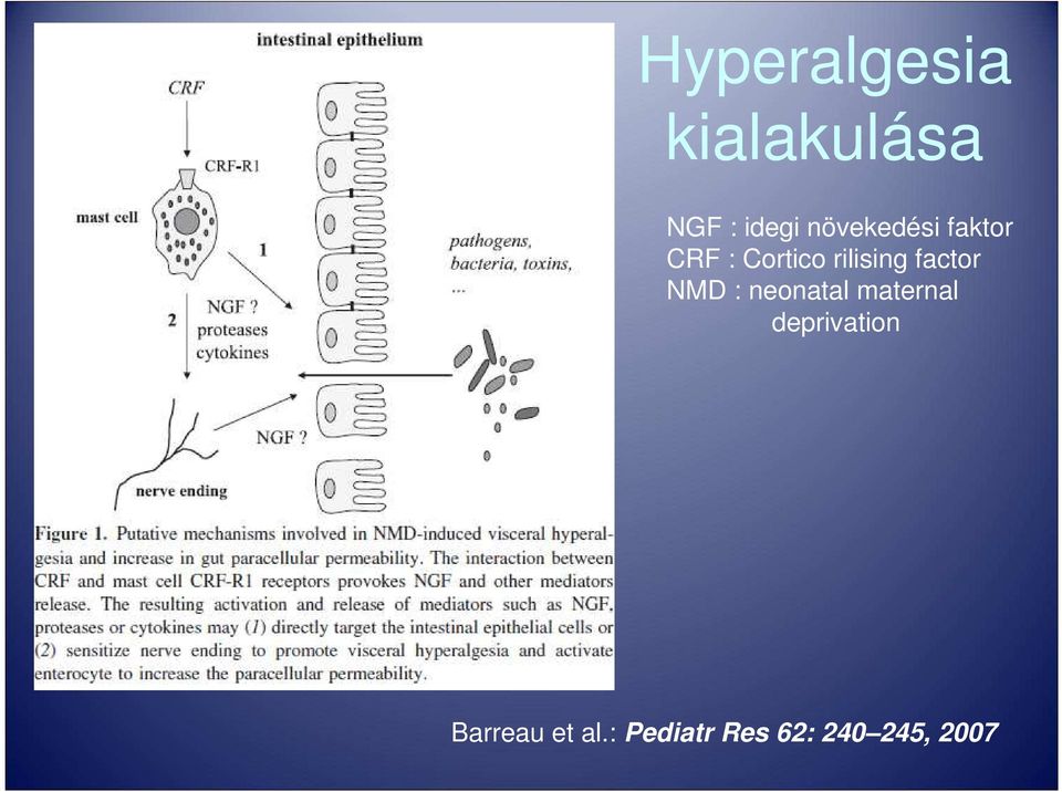 factor NMD : neonatal maternal