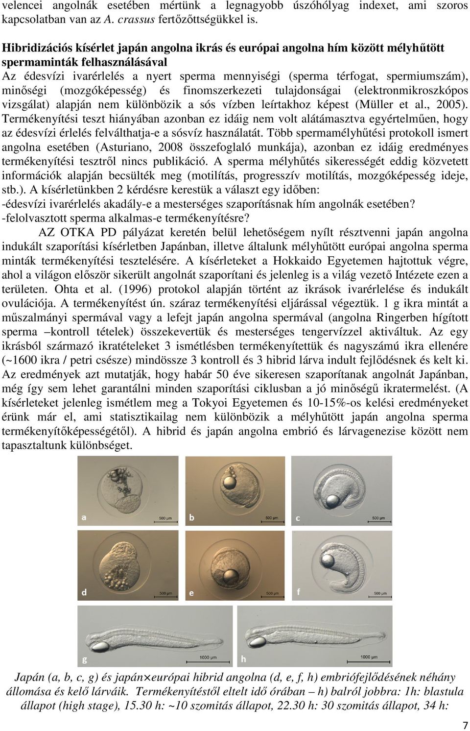 minıségi (mozgóképesség) és finomszerkezeti tulajdonságai (elektronmikroszkópos vizsgálat) alapján nem különbözik a sós vízben leírtakhoz képest (Müller et al., 2005).