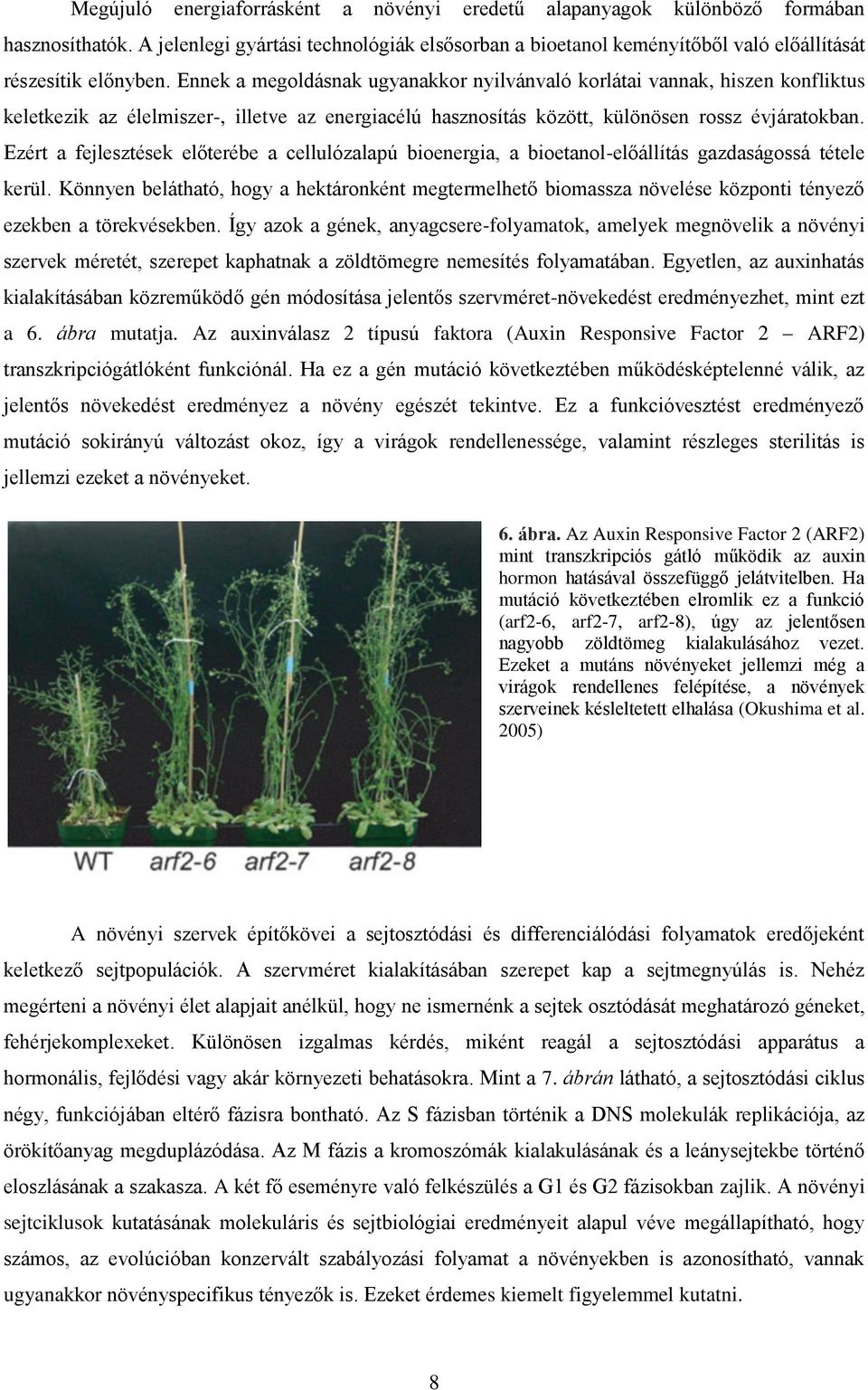 Ezért a fejlesztések előterébe a cellulózalapú bioenergia, a bioetanol-előállítás gazdaságossá tétele kerül.