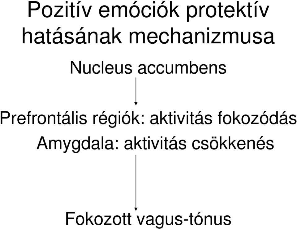 Prefrontális régiók: aktivitás