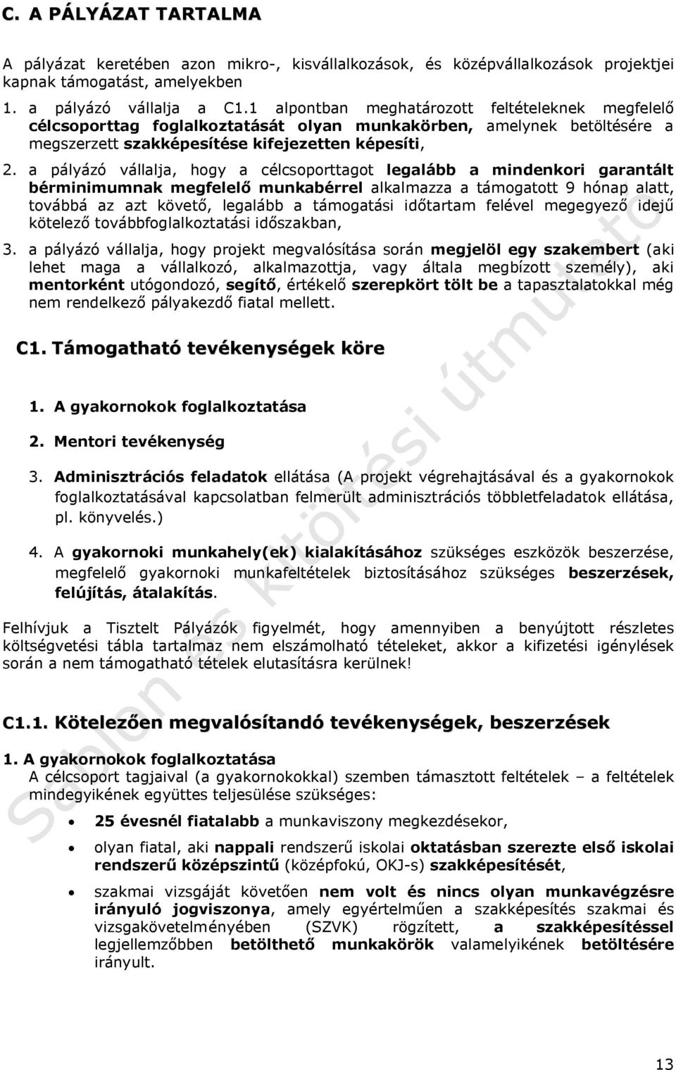 a pályázó vállalja, hogy a célcsoporttagot legalább a mindenkori garantált bérminimumnak megfelelő munkabérrel alkalmazza a támogatott 9 hónap alatt, továbbá az azt követő, legalább a támogatási