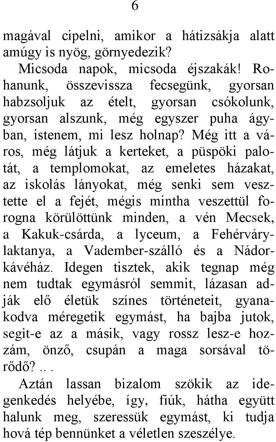 Még itt a város, még látjuk a kerteket, a püspöki palotát, a templomokat, az emeletes házakat, az iskolás lányokat, még senki sem vesztette el a fejét, mégis mintha veszettül forogna körülöttünk