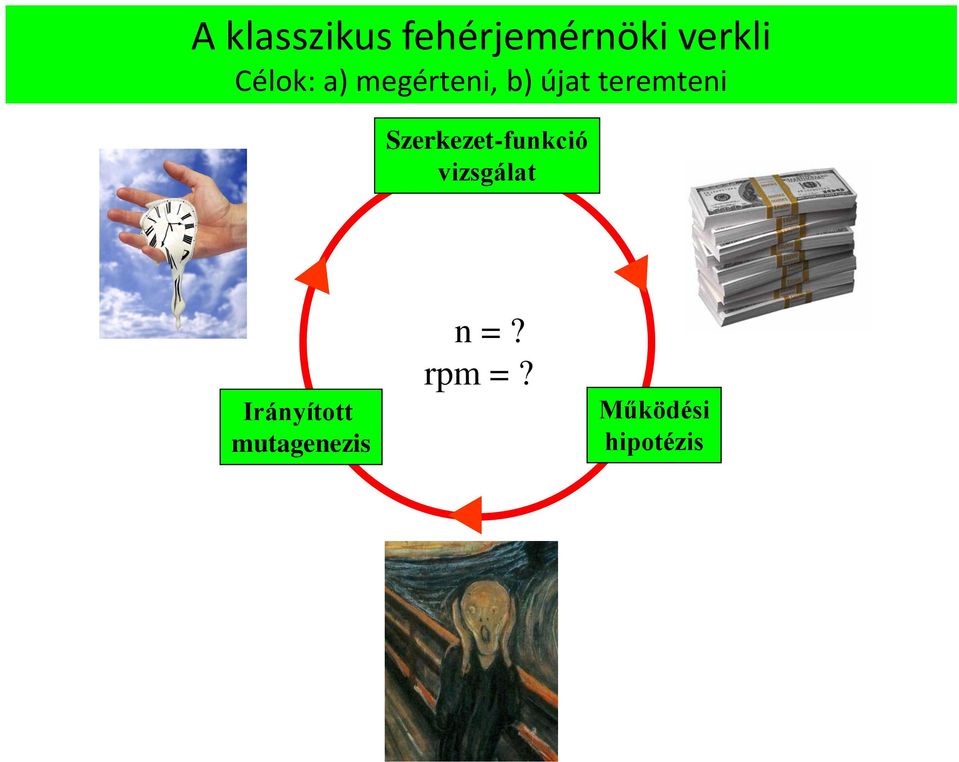 Szerkezet-funkció vizsgálat Irányított