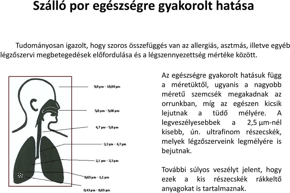 Az egészségre gyakorolt hatásuk függ a méretüktől, ugyanis a nagyobb méretű szemcsék megakadnak az orrunkban, míg az egészen kicsik lejutnak a