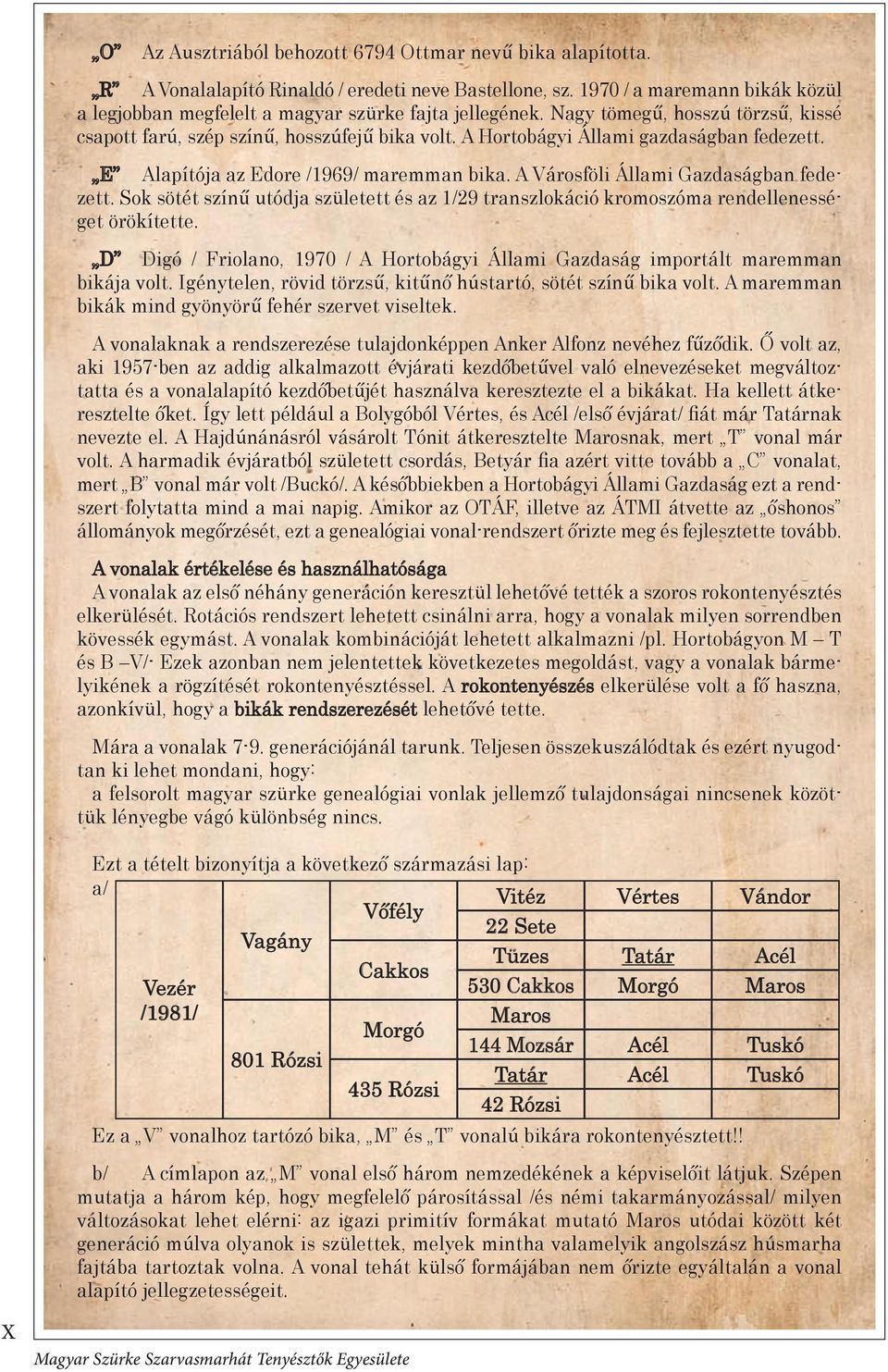 A Hortobágyi Állami gazdaságban fedezett. E Alapítója az Edore /1969/ maremman bika. A Városföli Állami Gazdaságban fedezett.