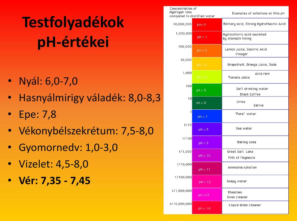 Vékonybélszekrétum: 7,5-8,0 Gyomornedv: