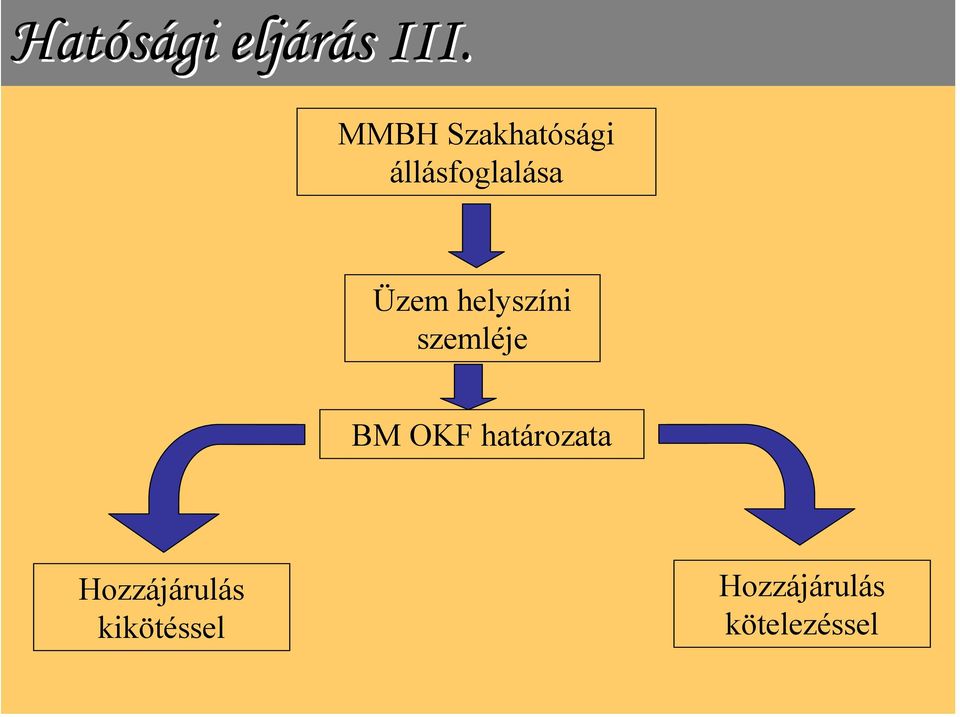 Üzem helyszíni szemléje BM OKF