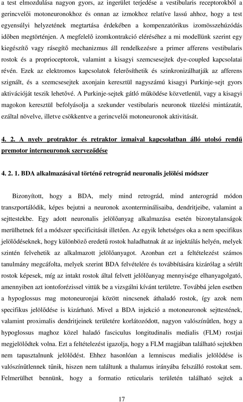 A megfelelı izomkontrakció eléréséhez a mi modellünk szerint egy kiegészítı vagy rásegítı mechanizmus áll rendelkezésre a primer afferens vestibularis rostok és a proprioceptorok, valamint a kisagyi