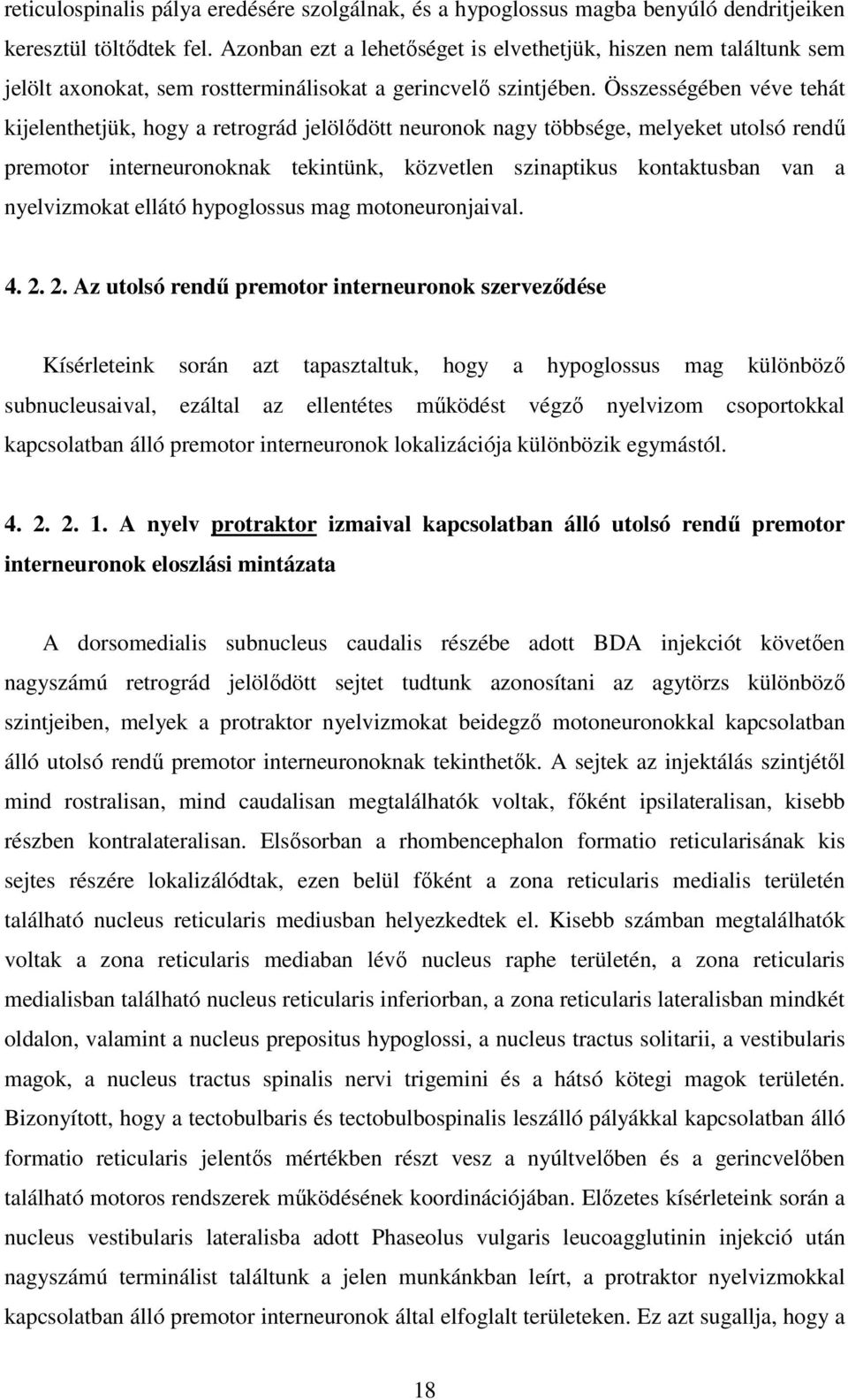 Összességében véve tehát kijelenthetjük, hogy a retrográd jelölıdött neuronok nagy többsége, melyeket utolsó rendő premotor interneuronoknak tekintünk, közvetlen szinaptikus kontaktusban van a