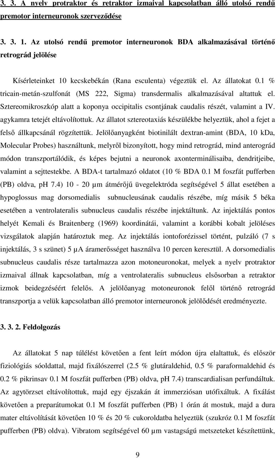 1 % tricain-metán-szulfonát (MS 222, Sigma) transdermalis alkalmazásával altattuk el. Sztereomikroszkóp alatt a koponya occipitalis csontjának caudalis részét, valamint a IV.