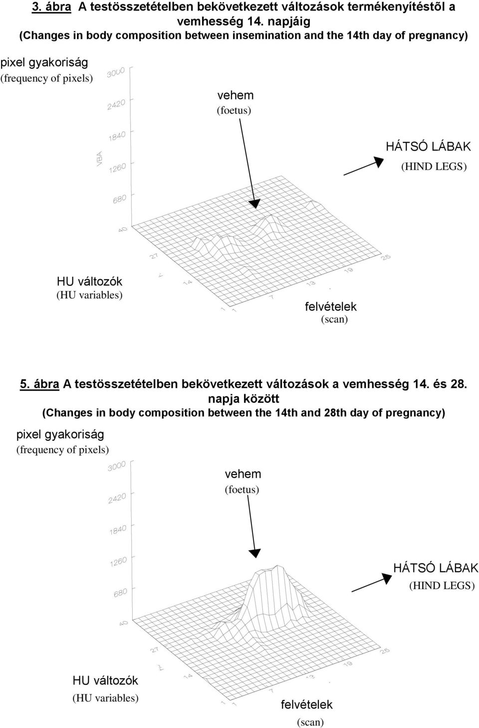 vehem (foetus) 5. ábra A testösszetételben bekövetkezett változások a vemhesség 14. és 28.