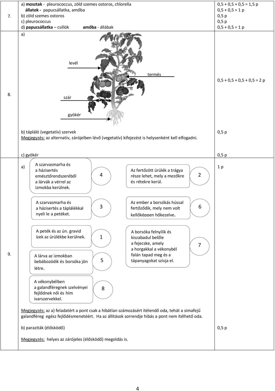 c) gyökér a) A szarvasmarha és a házisertés emésztőrendszeréből a lárvák a vérrel az izmokba kerülnek. 4 Az fertőzött ürülék a trágya része lehet, mely a mezőkre és rétekre kerül.