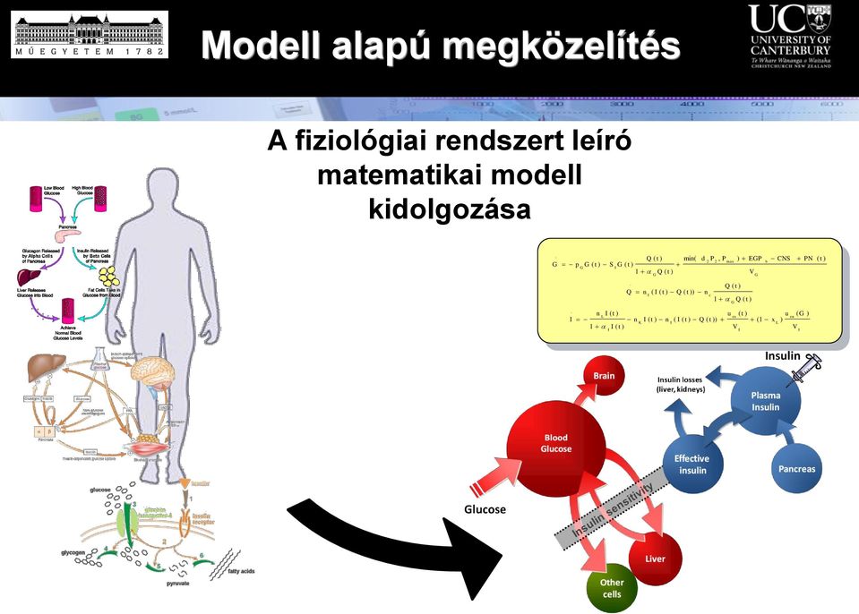 modell kidolgozása e L ex K L c b u