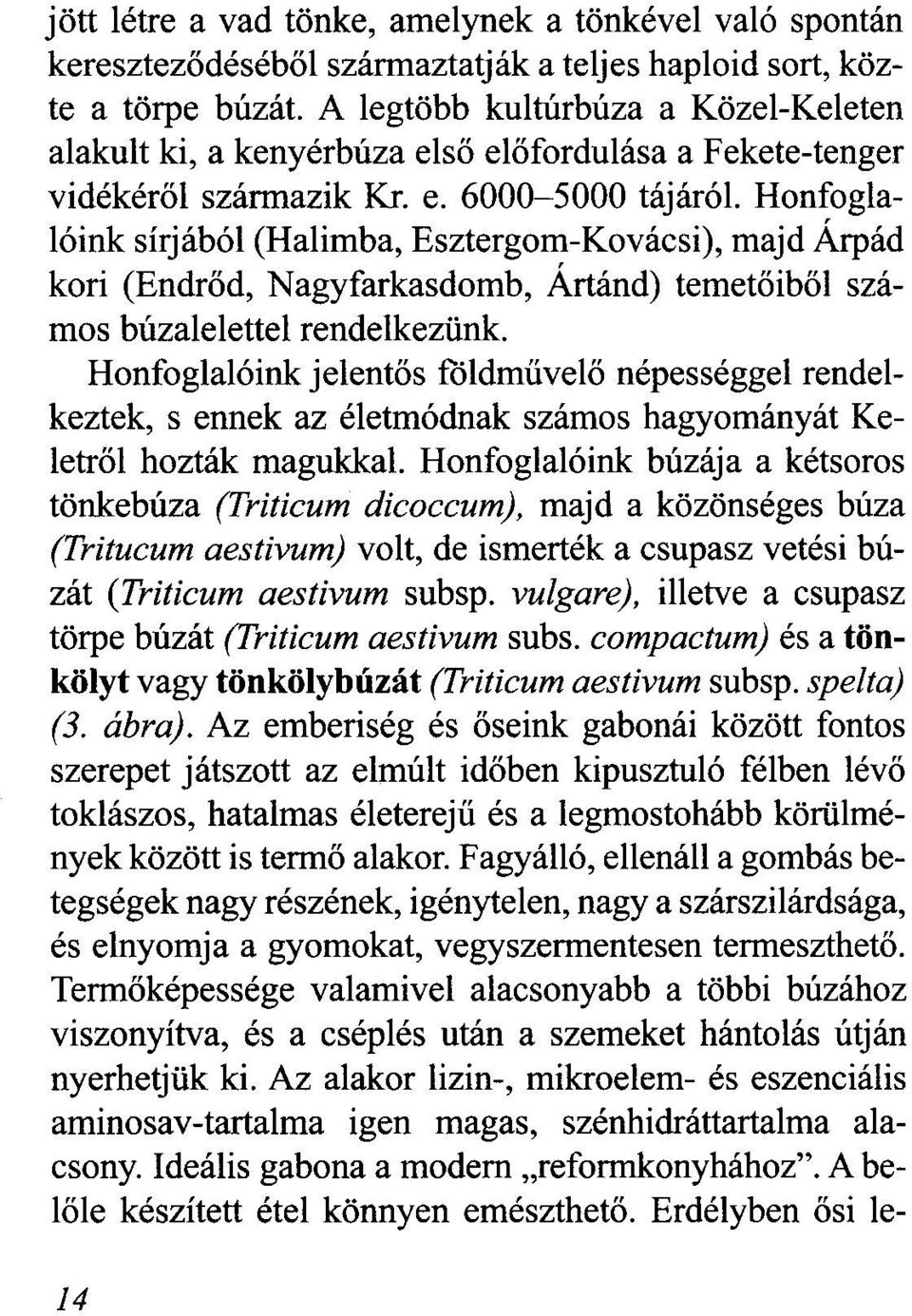 Honfoglalóink sírjából (Halimba, Esztergom-Kovácsi), majd Árpád kori (Endrőd, Nagyfarkasdomb, Ártánd) temetőiből számos búzalelettel rendelkezünk.