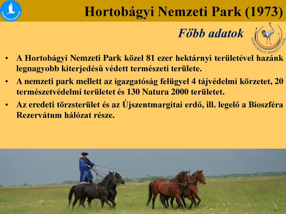 A nemzeti park mellett az igazgatóság felügyel 4 tájvédelmi körzetet, 20 természetvédelmi