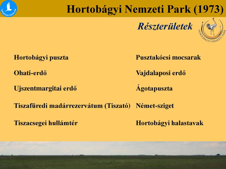 Vajdalaposi erdő Ágotapuszta Tiszafüredi madárrezervátum