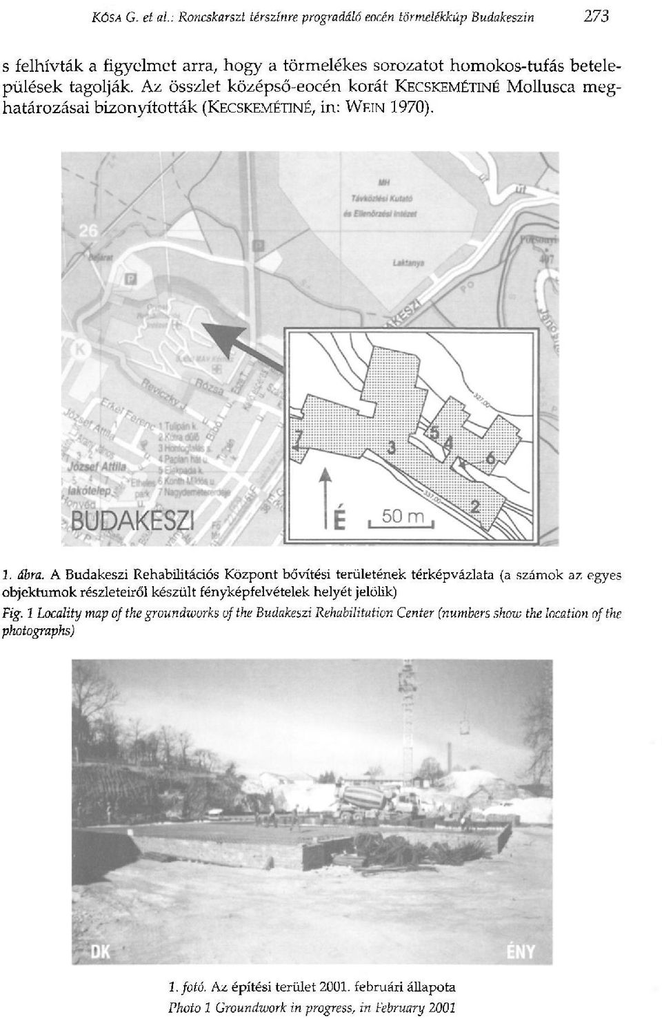 Az összlet középső-eocén korát KECSKEMÉTINÉ Mollusca meghatározásai bizonyították (KECSKEMÉTINÉ, in: WEIN 1970). 1. ábra.